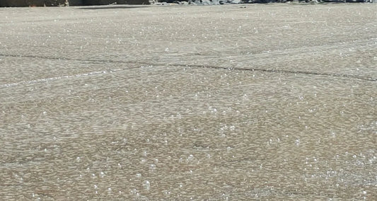 Common Mistakes When Applying Concrete Sealer and How to Avoid Them