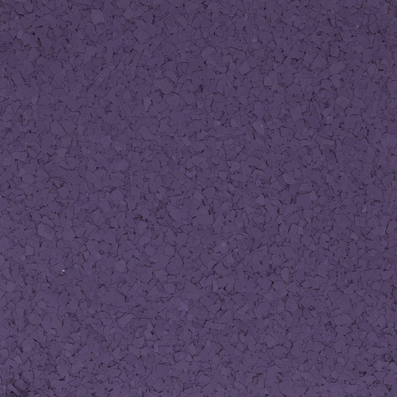 African Violet