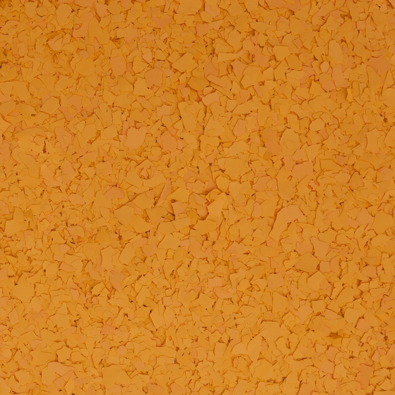 Squash