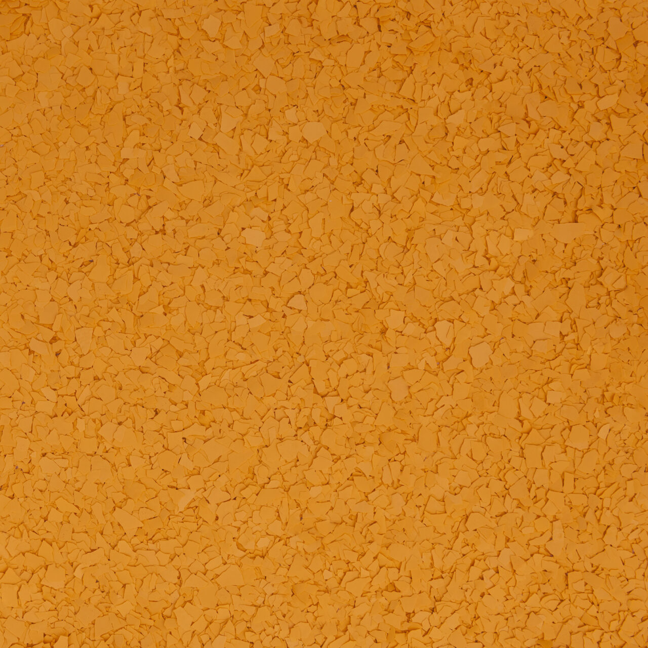 Squash